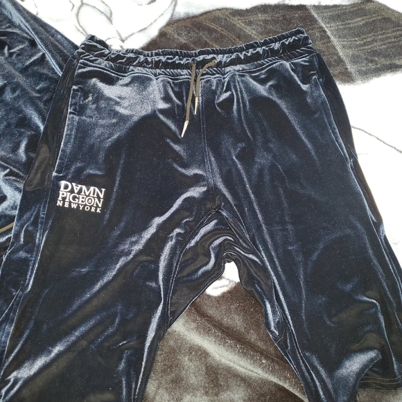 DVMN PIGEON - Picture 3 of 4